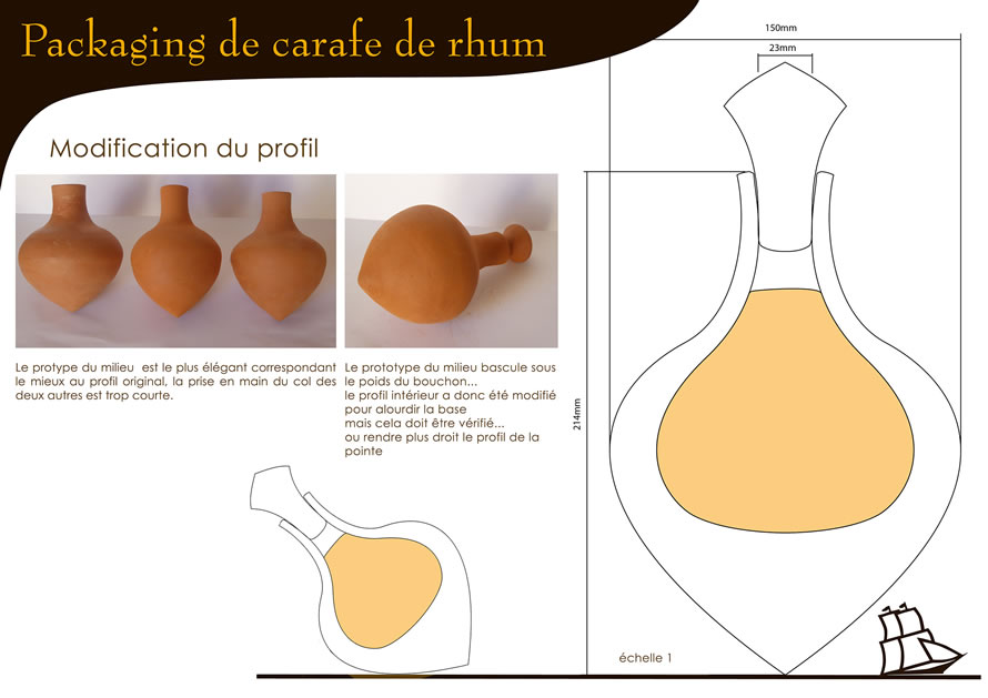 Mise au point des projets sélectionnés