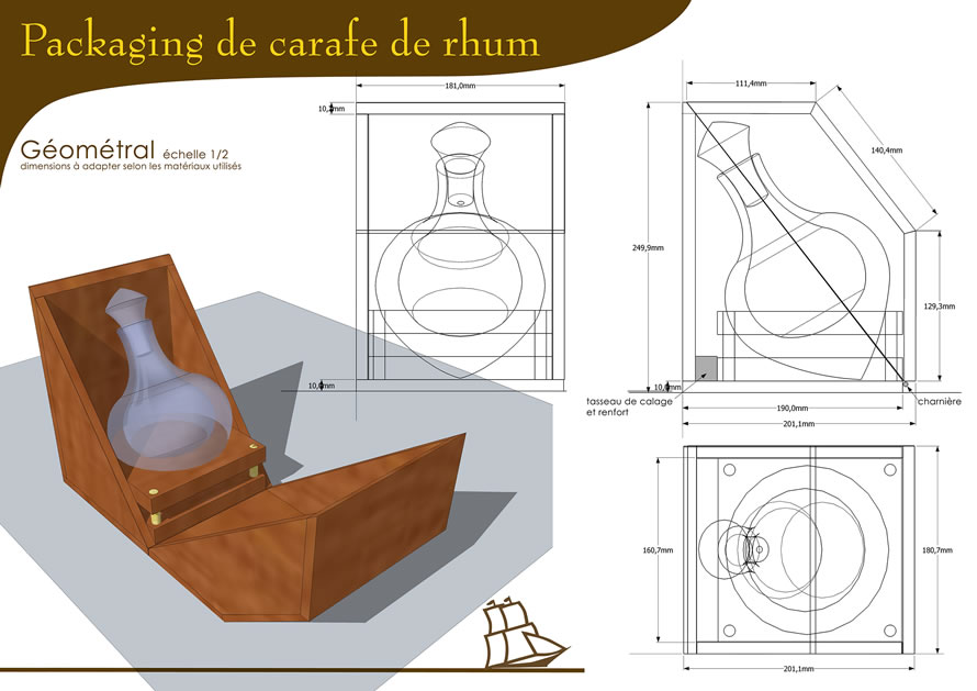 Mise au point des projets sélectionnés